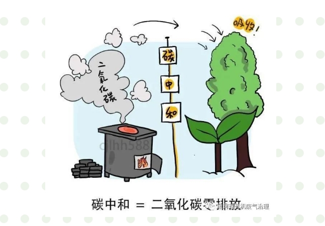“碳中和、碳達峰”構(gòu)建綠色、低碳、循環(huán)的可持續(xù)發(fā)展經(jīng)濟體系